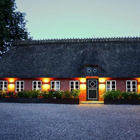 Dom wakacyjny Design Reetdach Ferienhaus Nobilis *