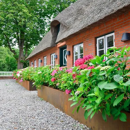 Design Reetdach Ferienhaus Nobilis Dom wakacyjny *